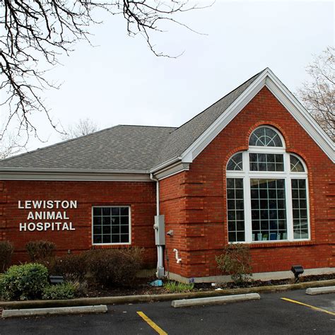 lewiston animal hospital lewiston ny.